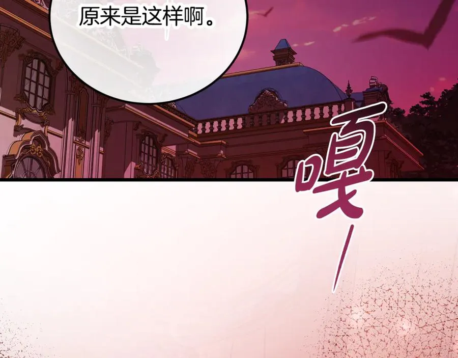 第29话 侍女送的手帕 第2页