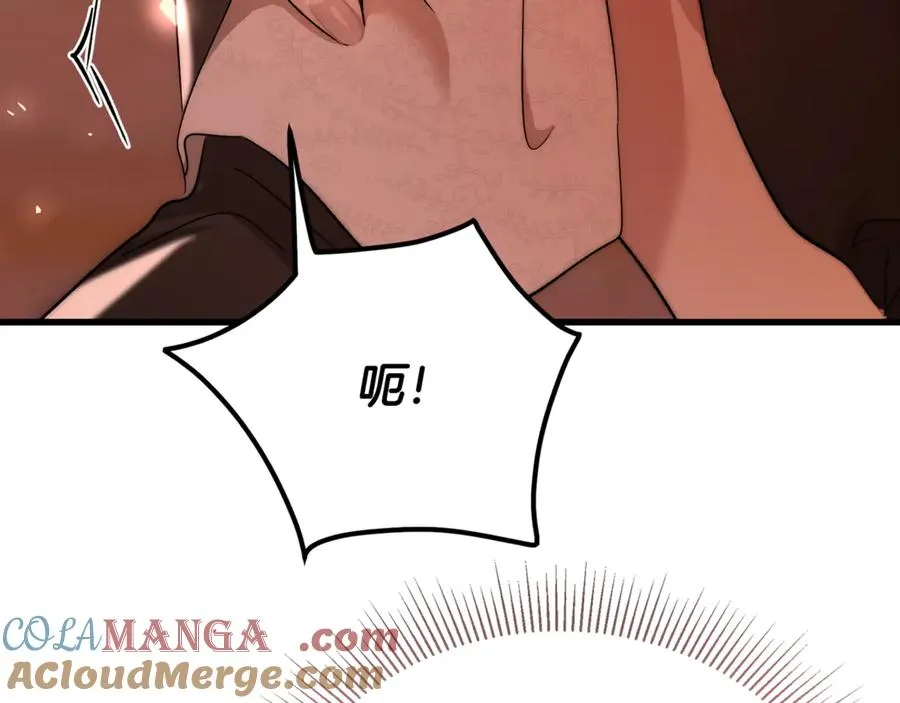 第29话 侍女送的手帕 第73页
