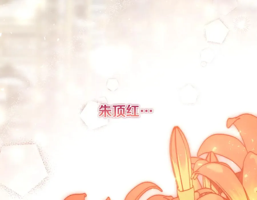 第29话 侍女送的手帕 第211页