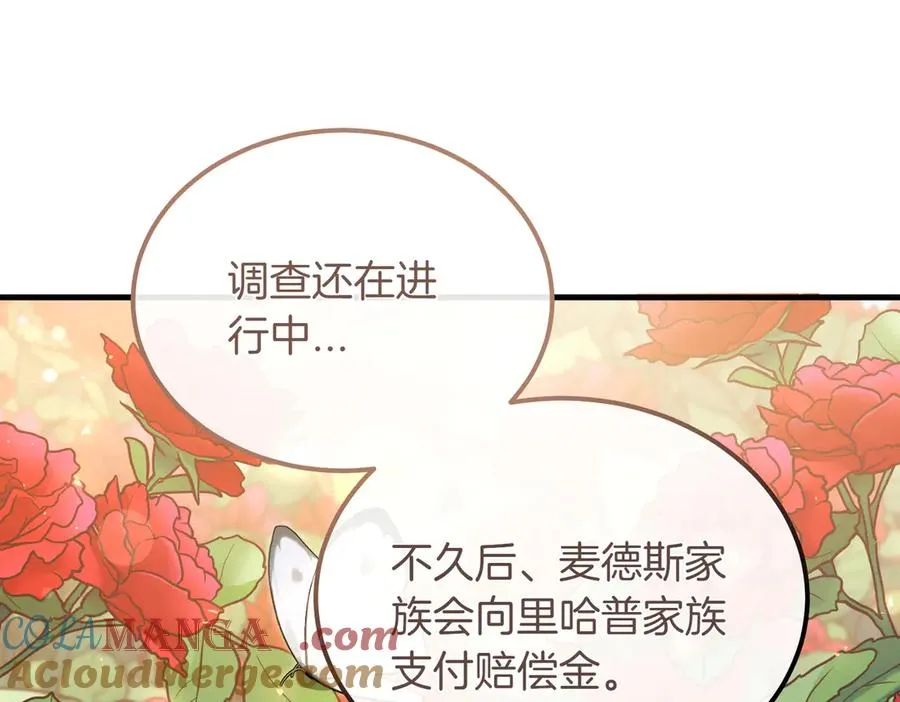 第51话 赔偿与冲突 第5页