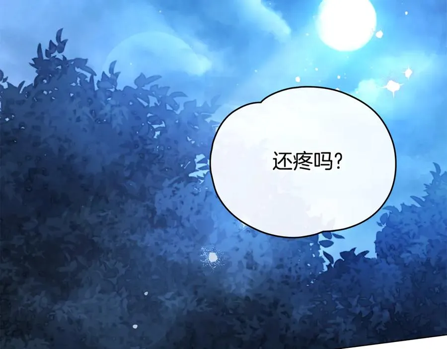 第23话 专属骑士 第3页