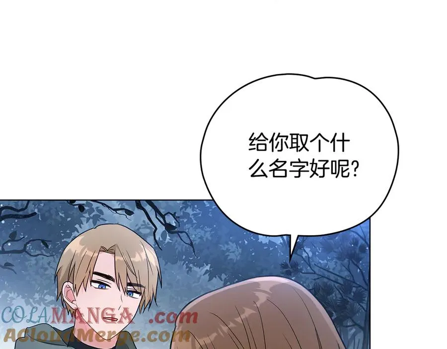 第23话 专属骑士 第77页