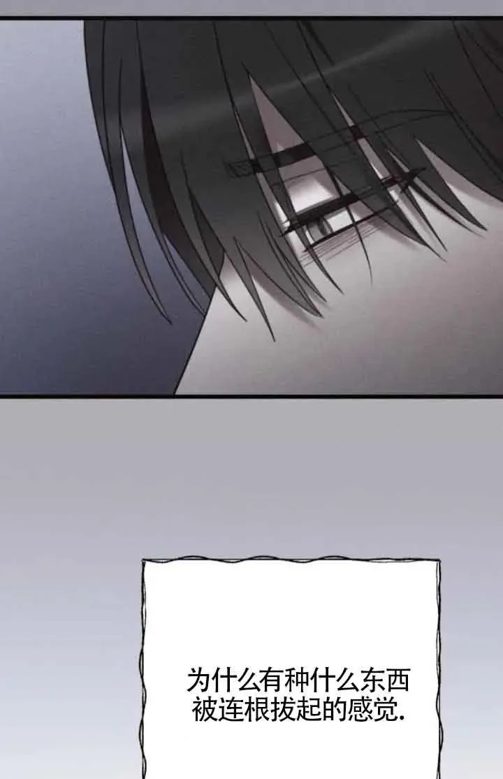 第41话 第95页