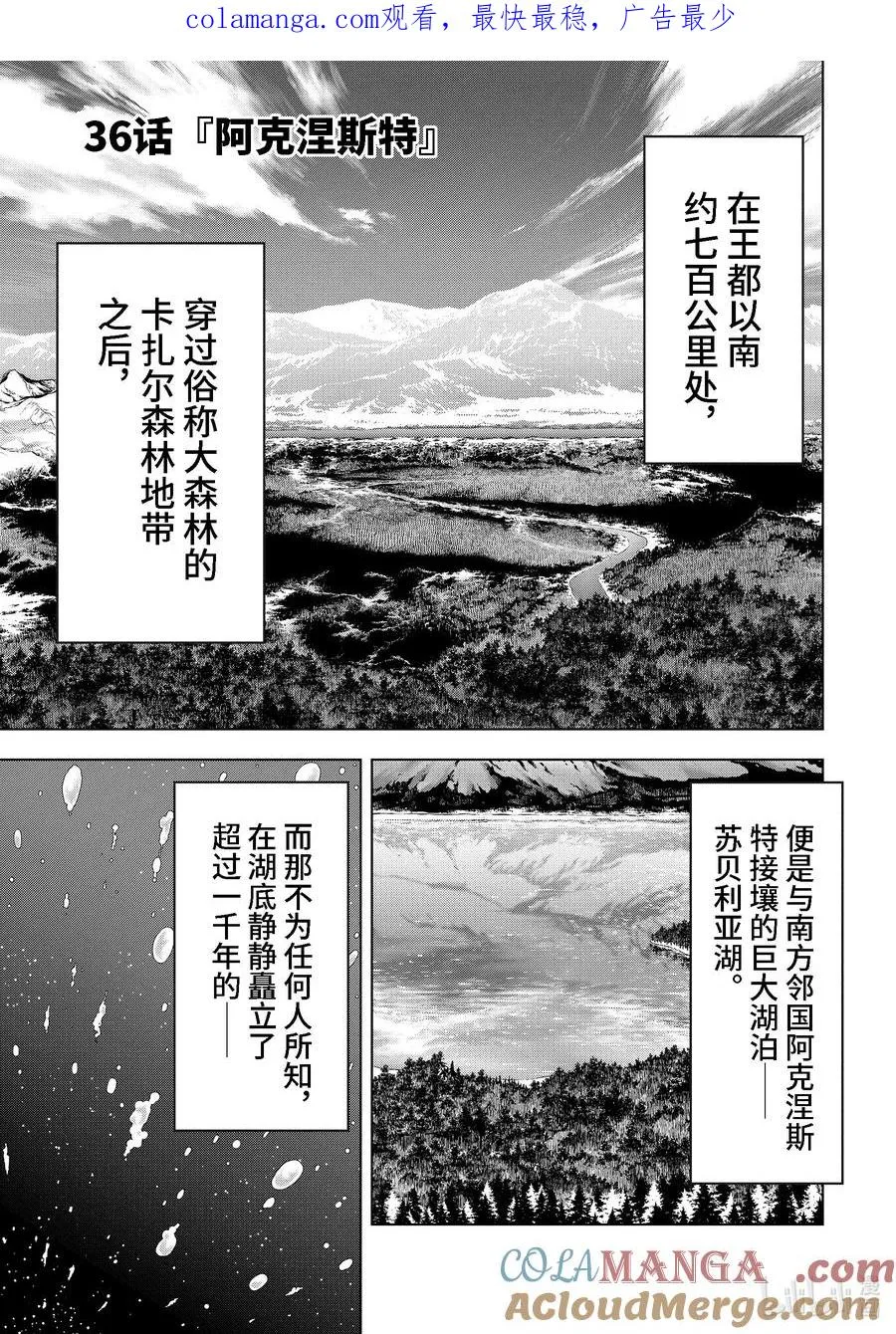 36-1 阿克涅斯特 第1页