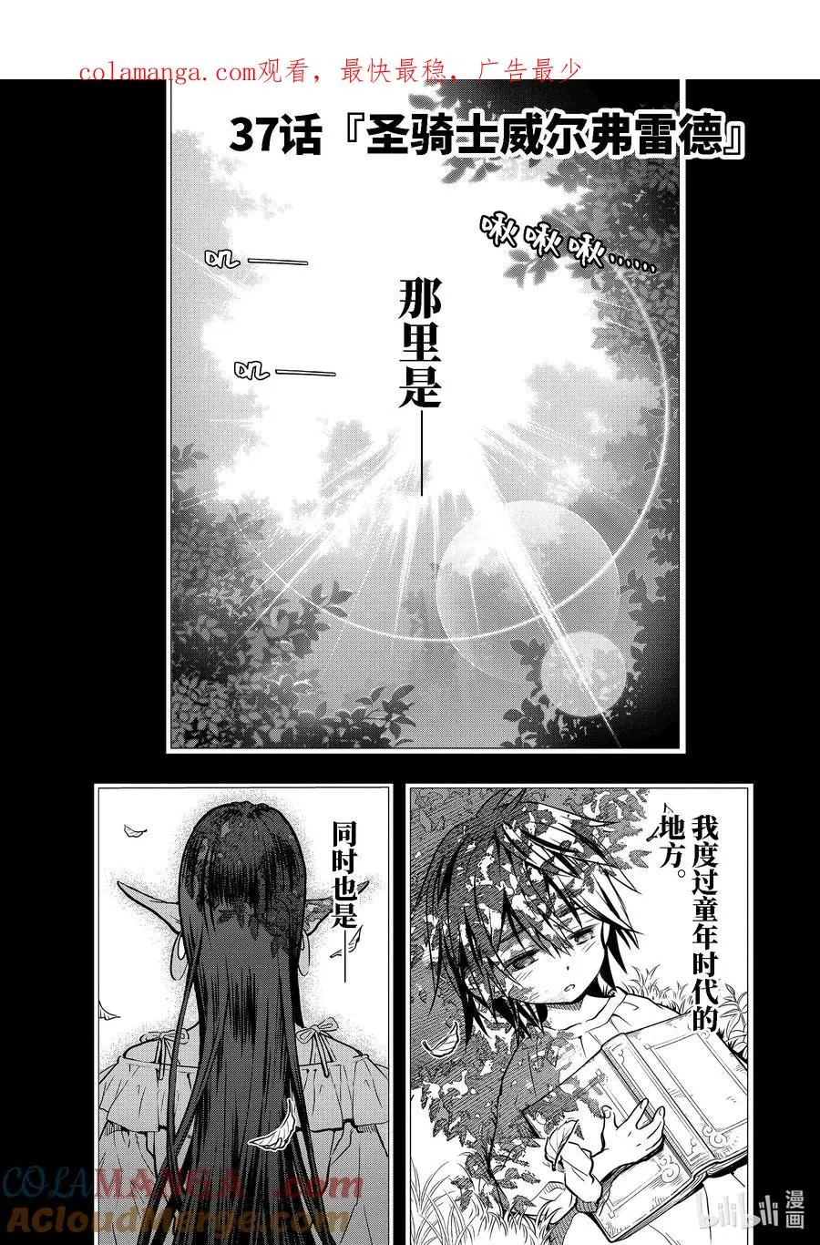 37-1 圣骑士威尔弗雷德 第1页