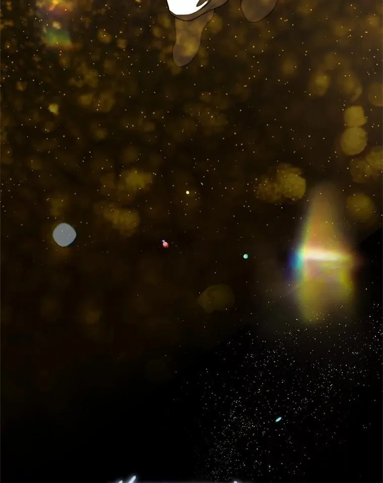 14.圣约 第128页