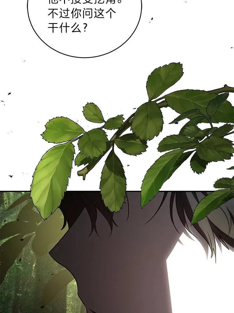 19.13月 第142页