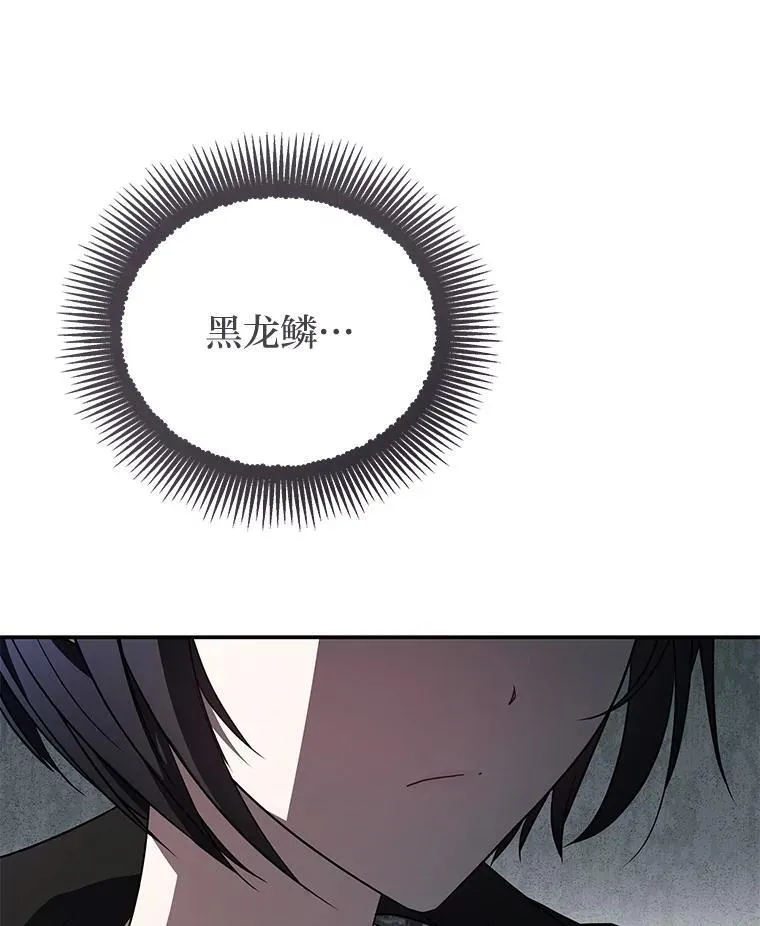 20.王的威严 第11页