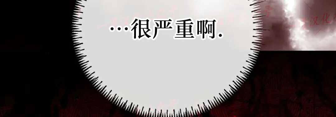 第76集 第217页