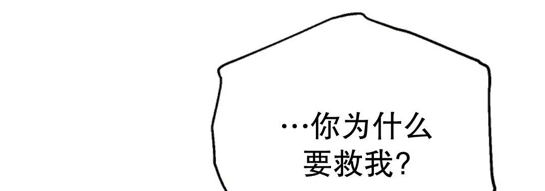 第76集 第295页