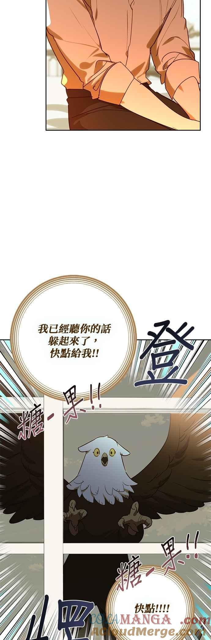 第184话 第19页