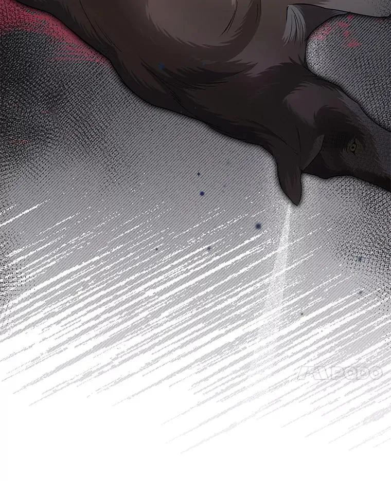 14.皇帝的秘密房间 第24页