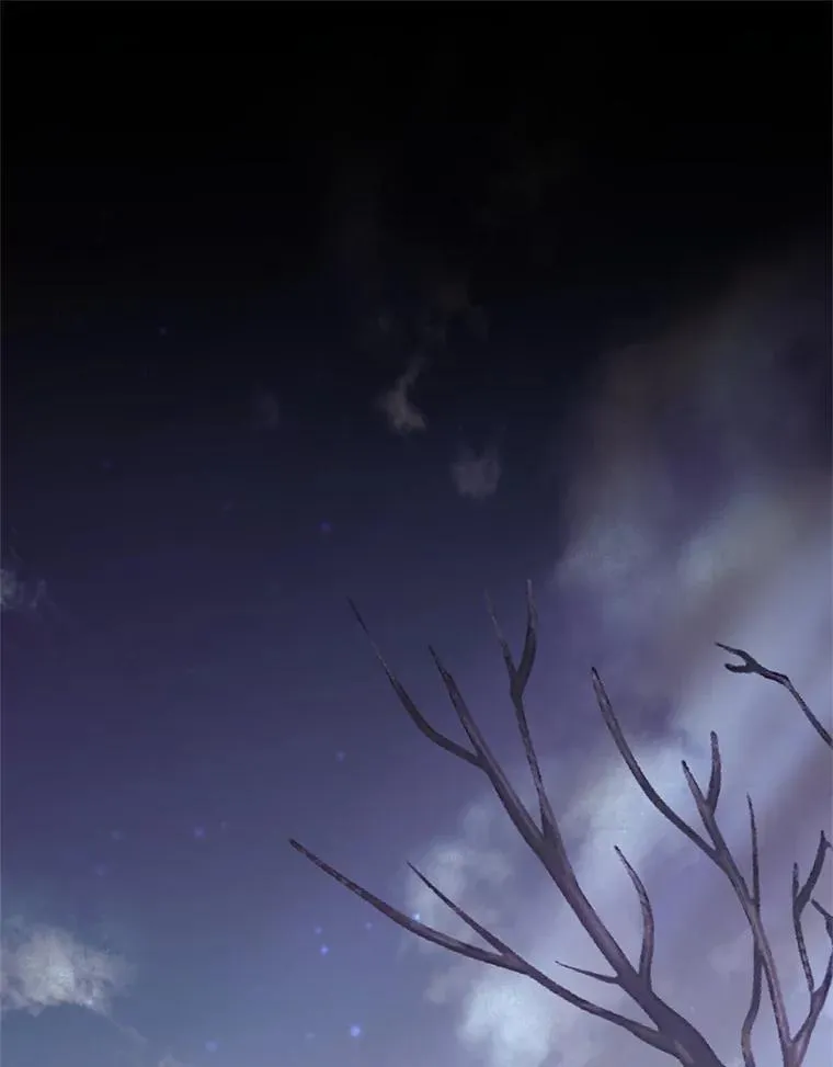 29.讨伐开始 第116页