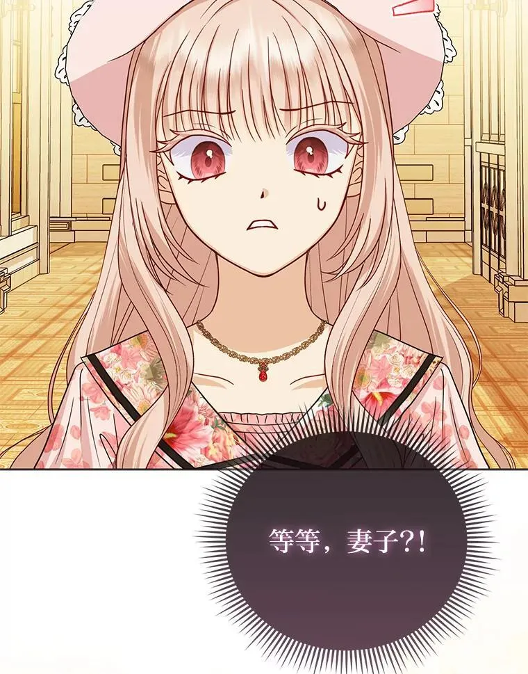 24.“勒索”布雷顿 第26页