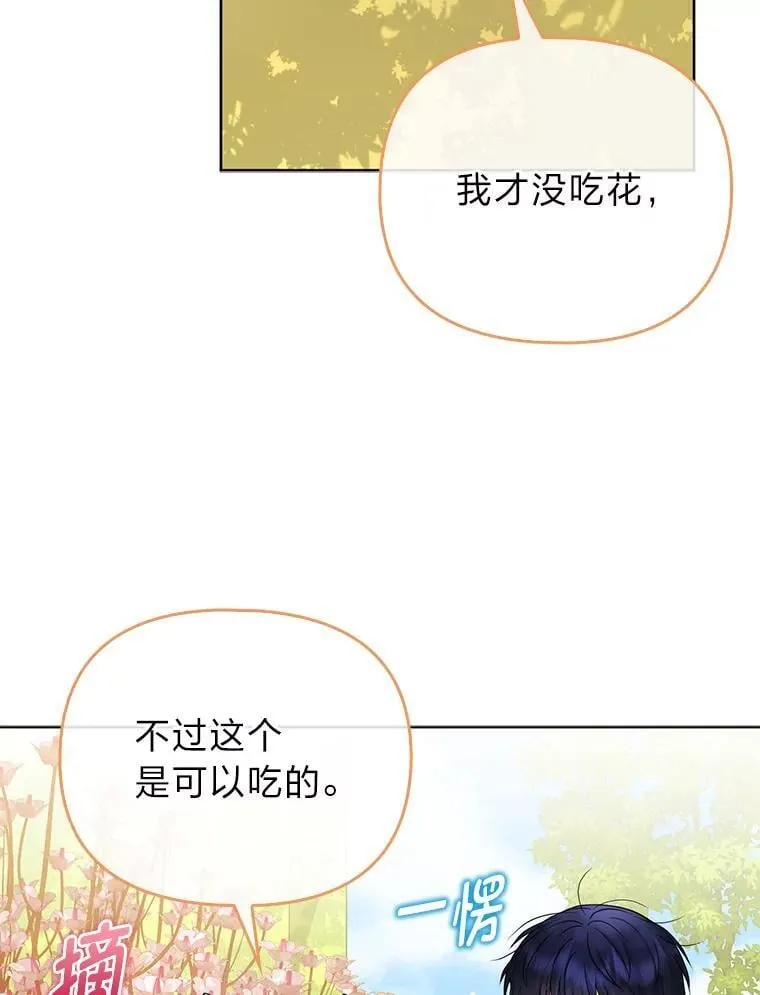 34.庭院散步 第13页