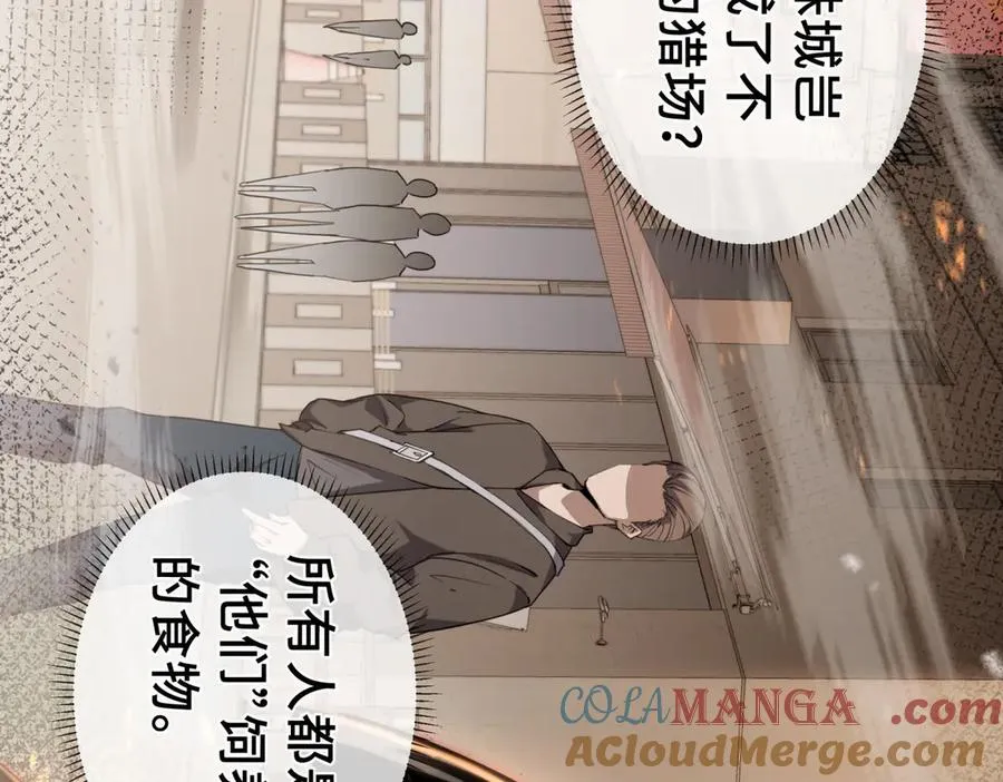 预告 第31页
