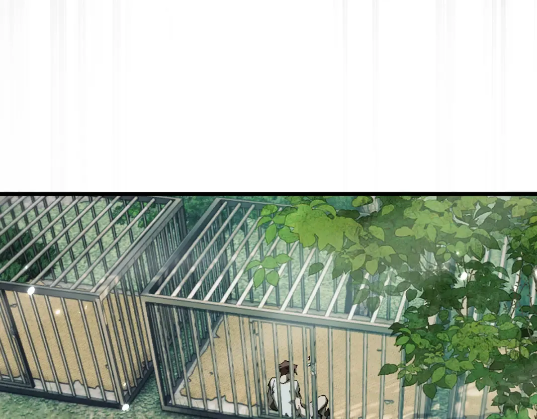 第13话 新伊芙蕾雅 第87页