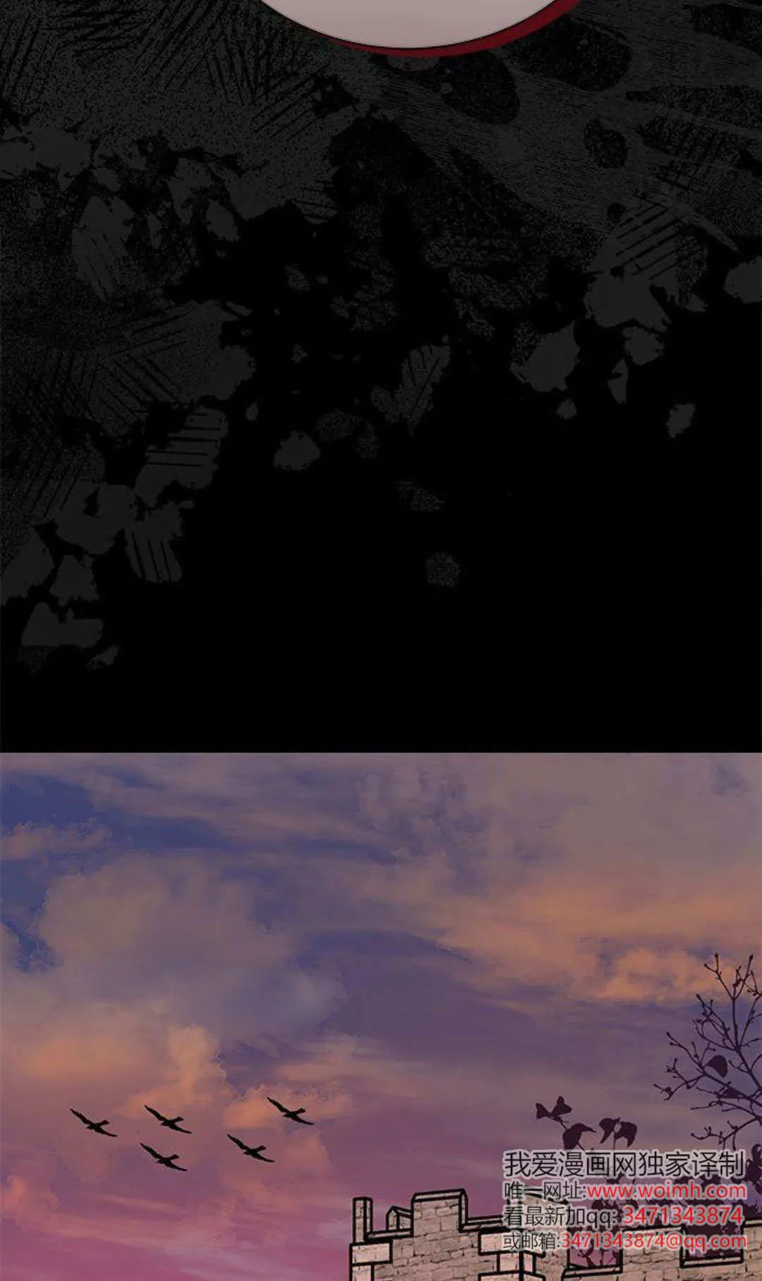 第53话 第56页