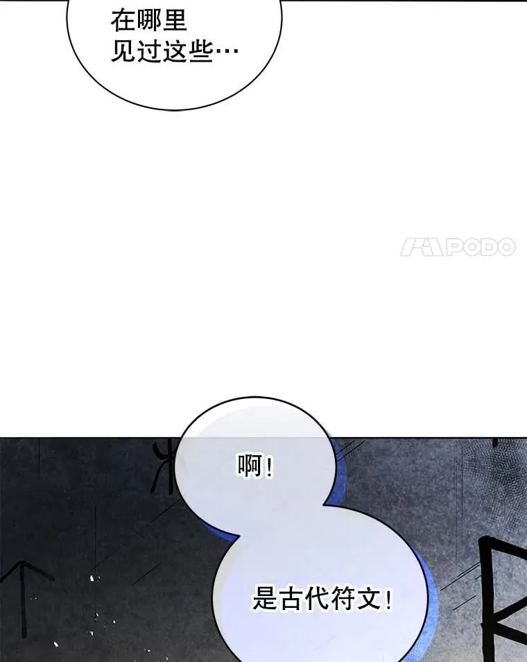 22.军团管理者 第4页