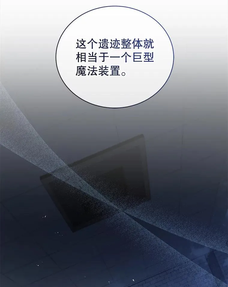 22.军团管理者 第8页