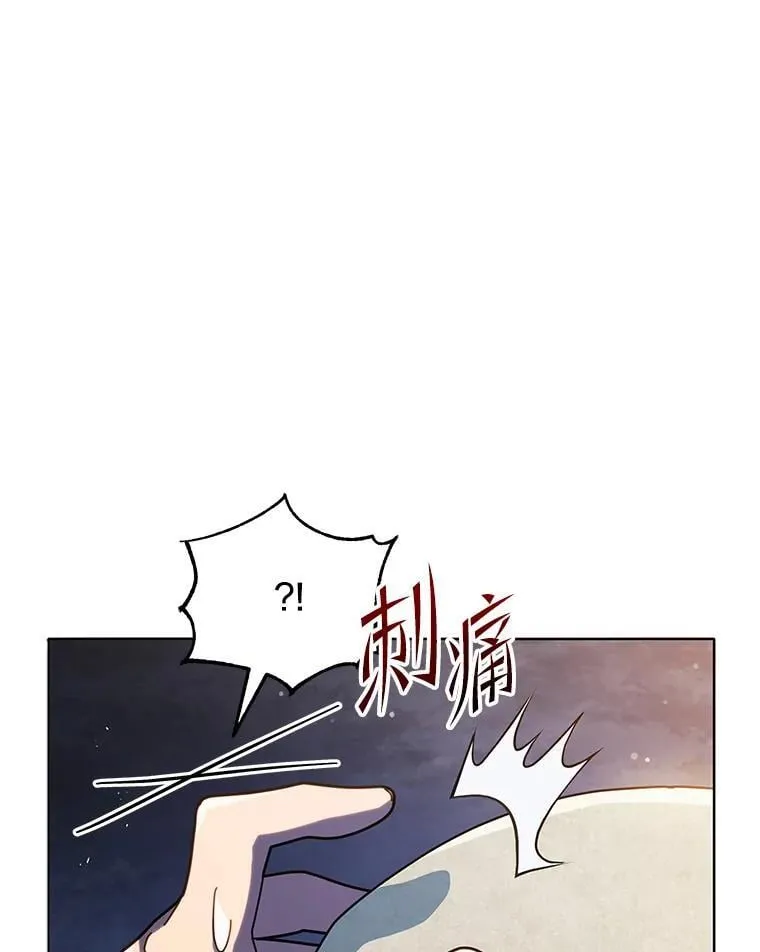 22.军团管理者 第13页