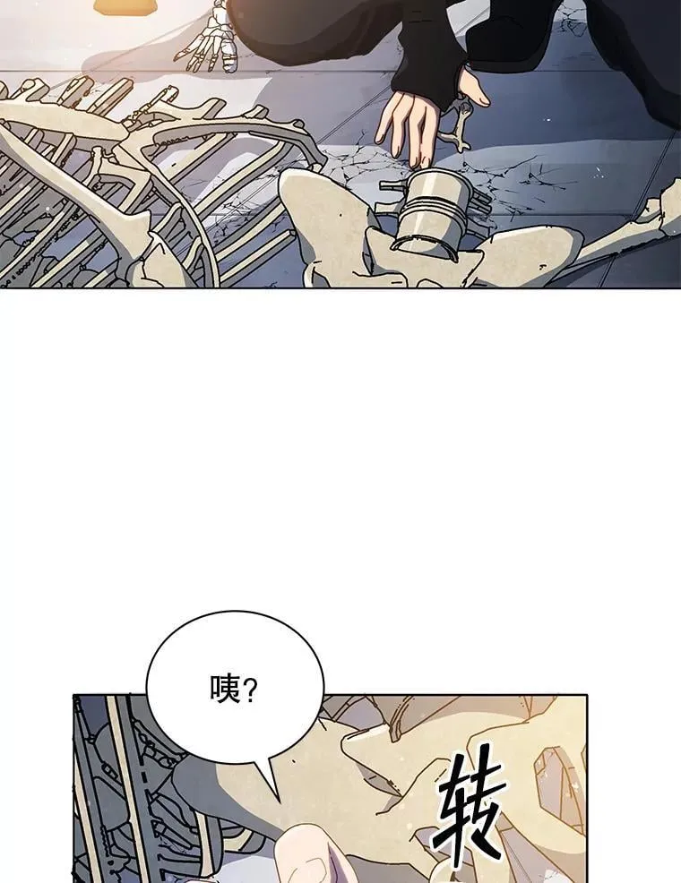 22.军团管理者 第22页