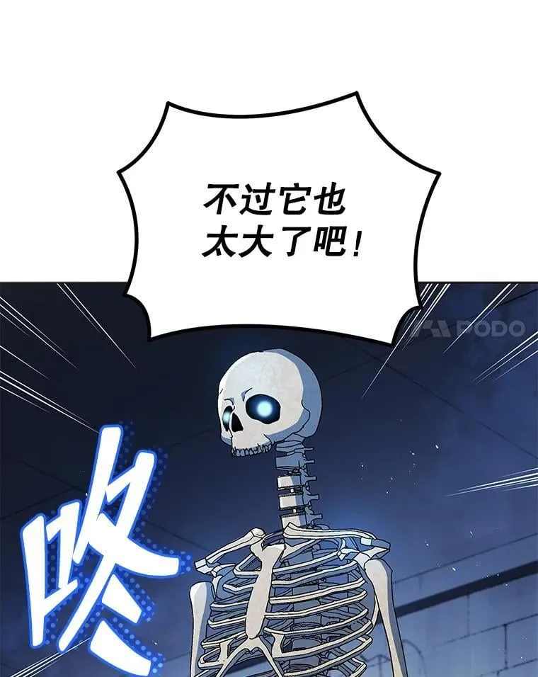 22.军团管理者 第48页