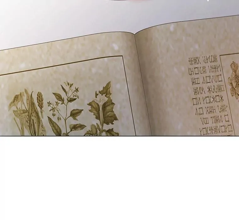 29.分头行动 第49页