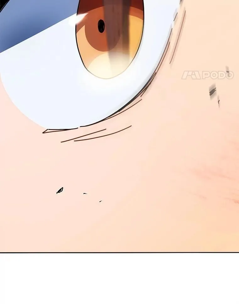 43.满分 第21页