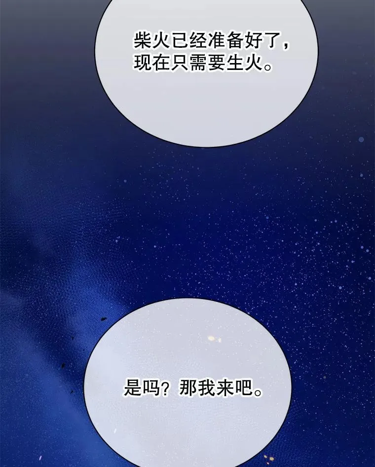 69.成功伪装 第66页