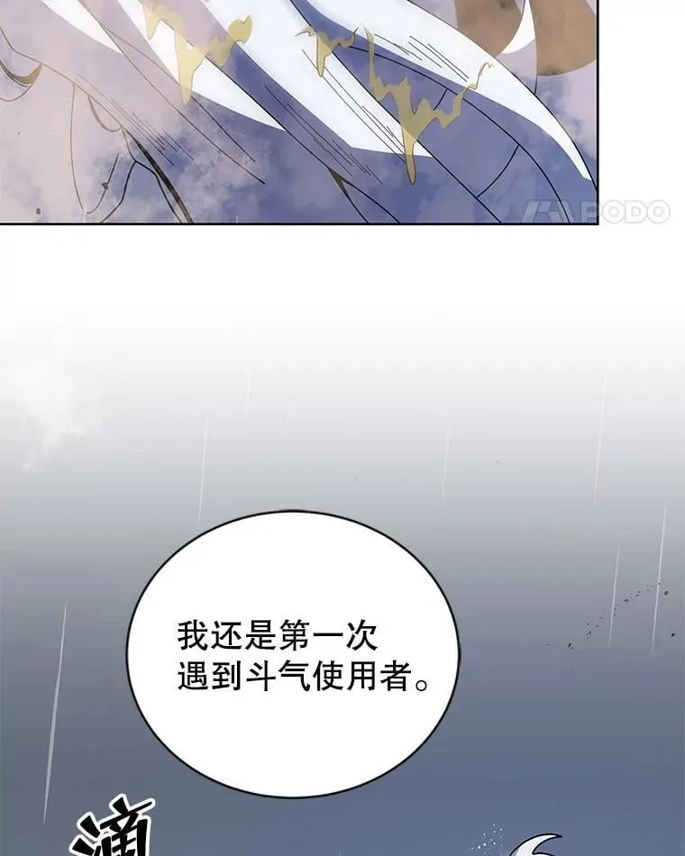 93.斗气使用者 第62页