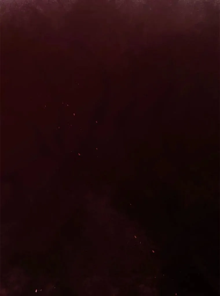 112.死亡岛 第2页