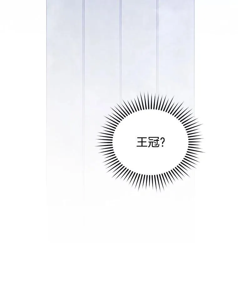 114.王冠 第113页