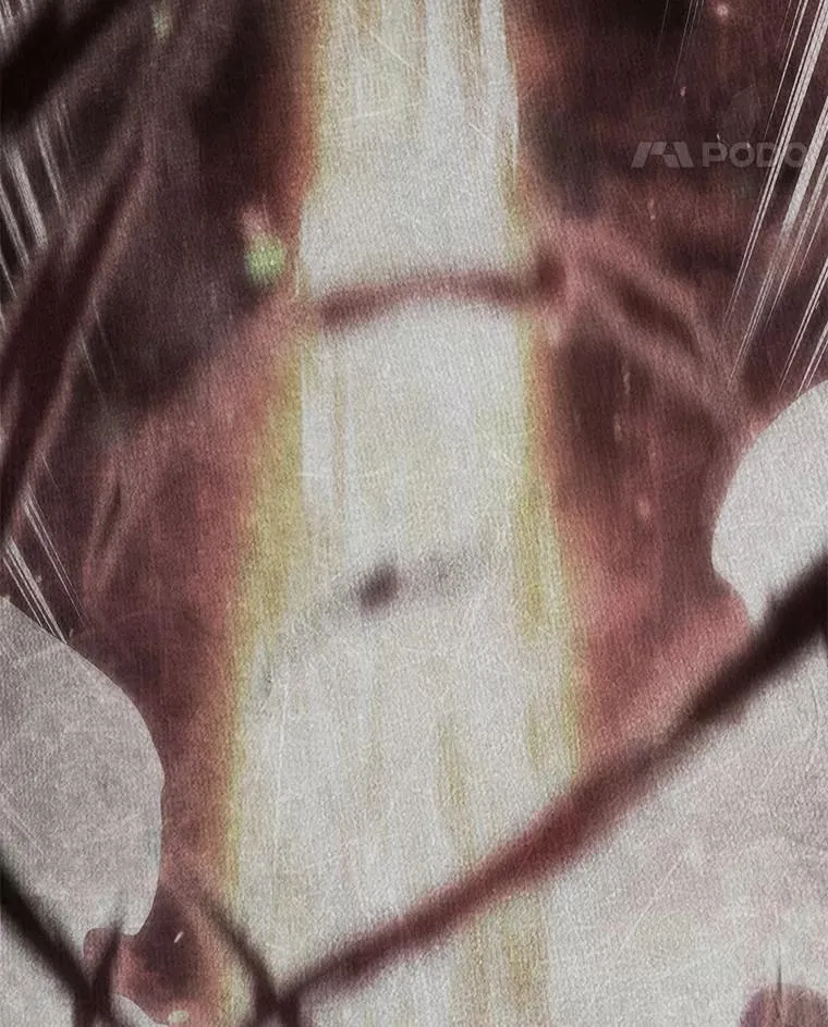 127.只有她 第14页