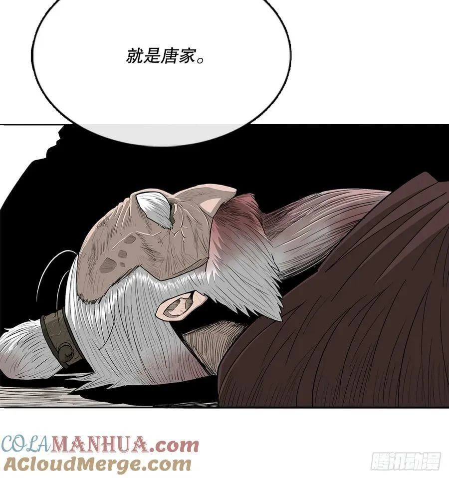 146.保护唐门 第37页