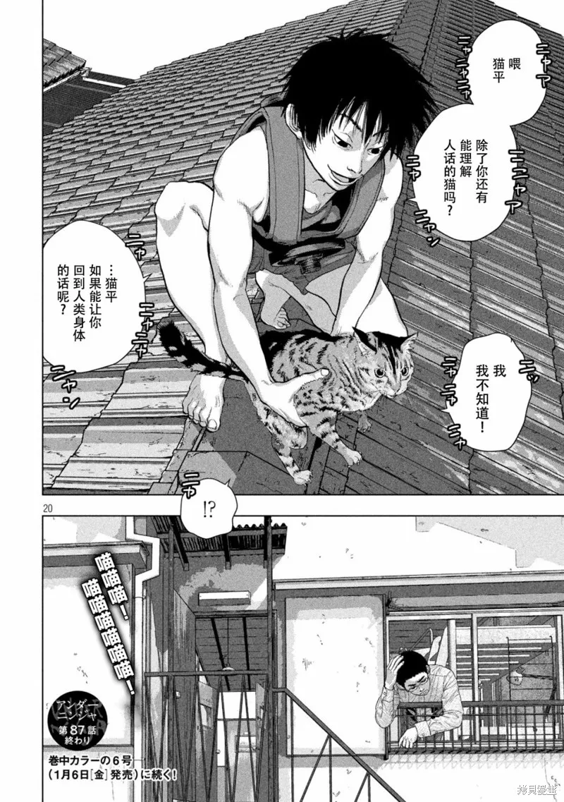 第87话 第20页