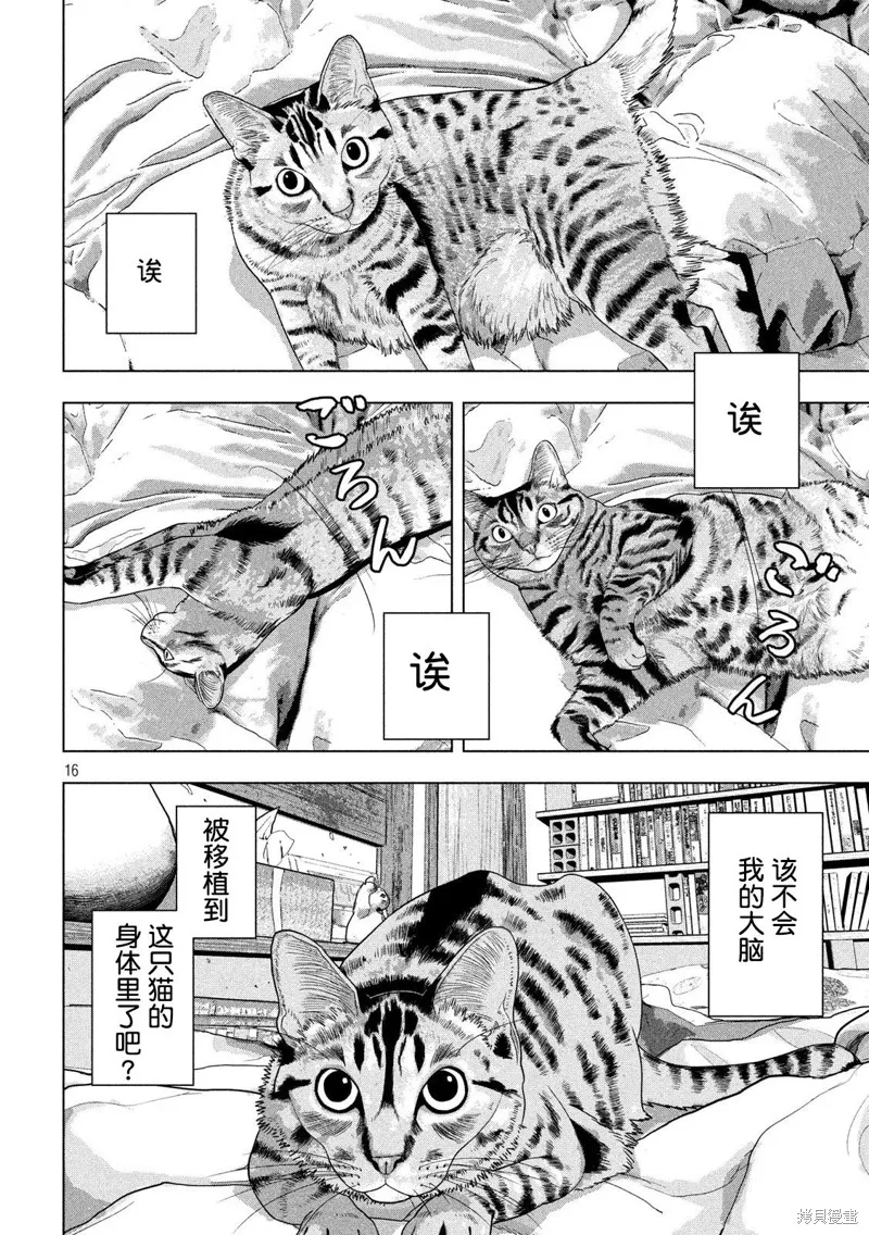 第41话 第16页