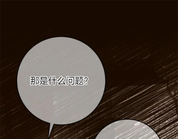 第13话 抓包 第28页