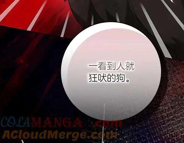 第22话 谁敢放肆 第25页