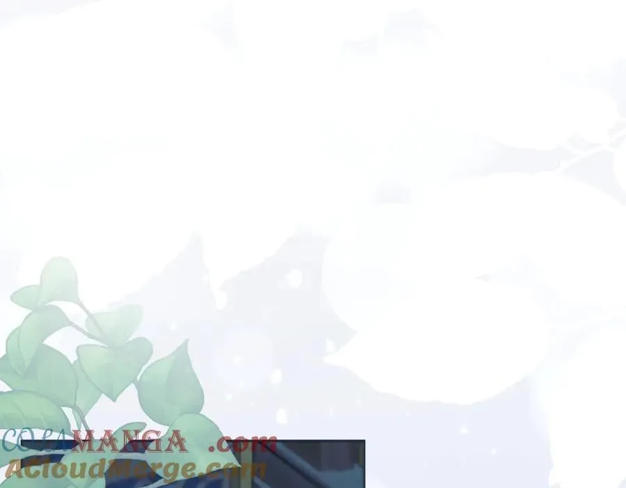 第38话 全都要 第5页