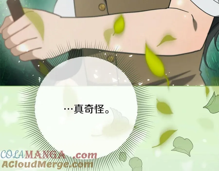第44话 血统和诅咒 第181页