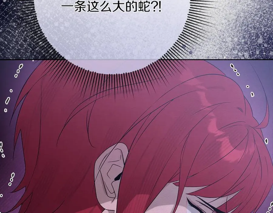 第46话 神秘的箱子 第48页