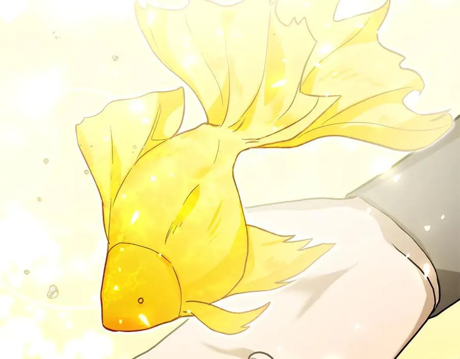 第46话 神秘的箱子 第55页
