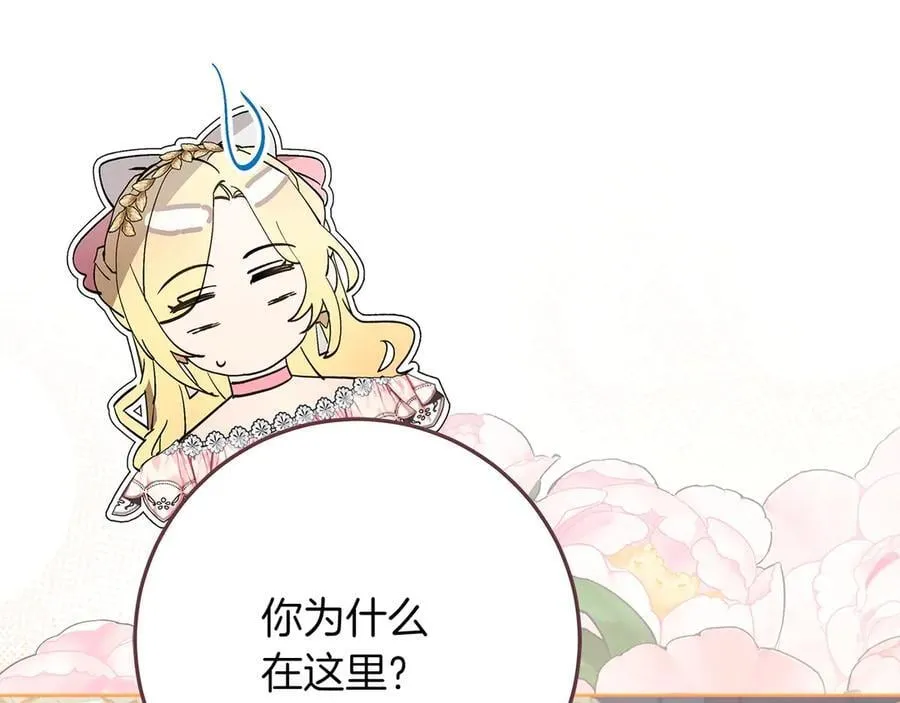 第46话 神秘的箱子 第163页