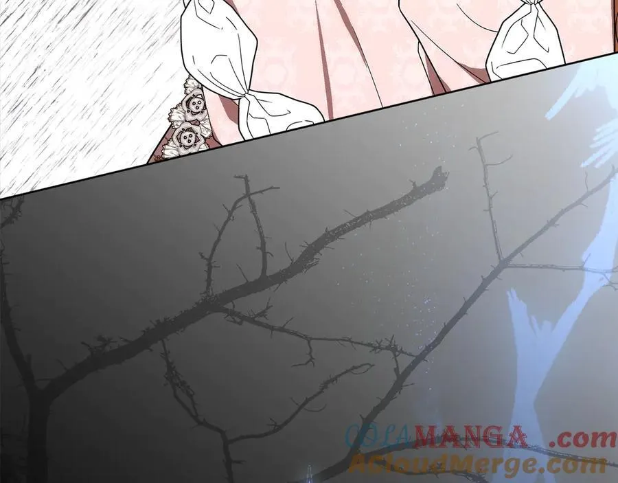 第46话 神秘的箱子 第189页