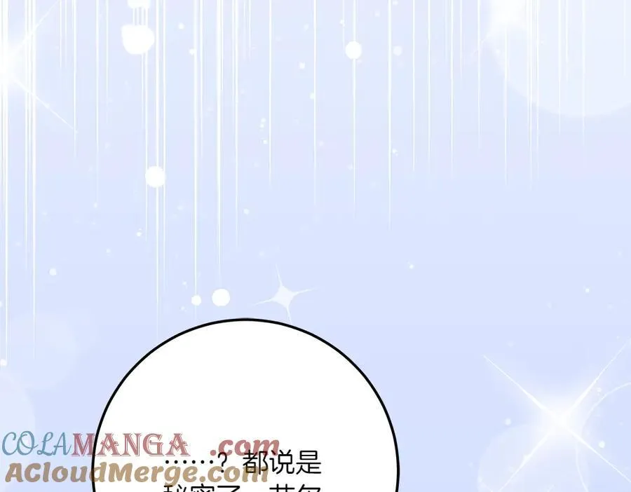第49话 私人请求 第161页