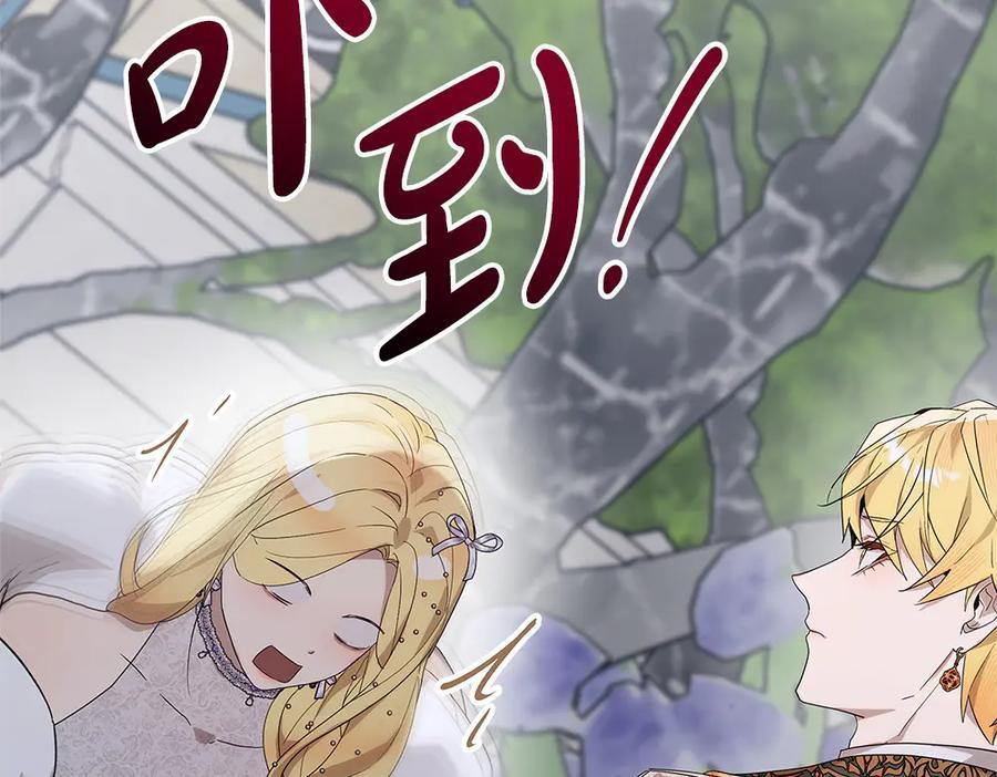 第53话 下午茶 第243页