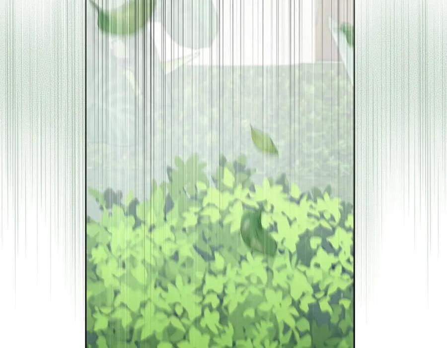 第53话 下午茶 第256页