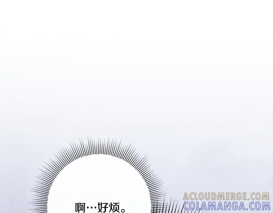 第54话 讨厌老师 第237页