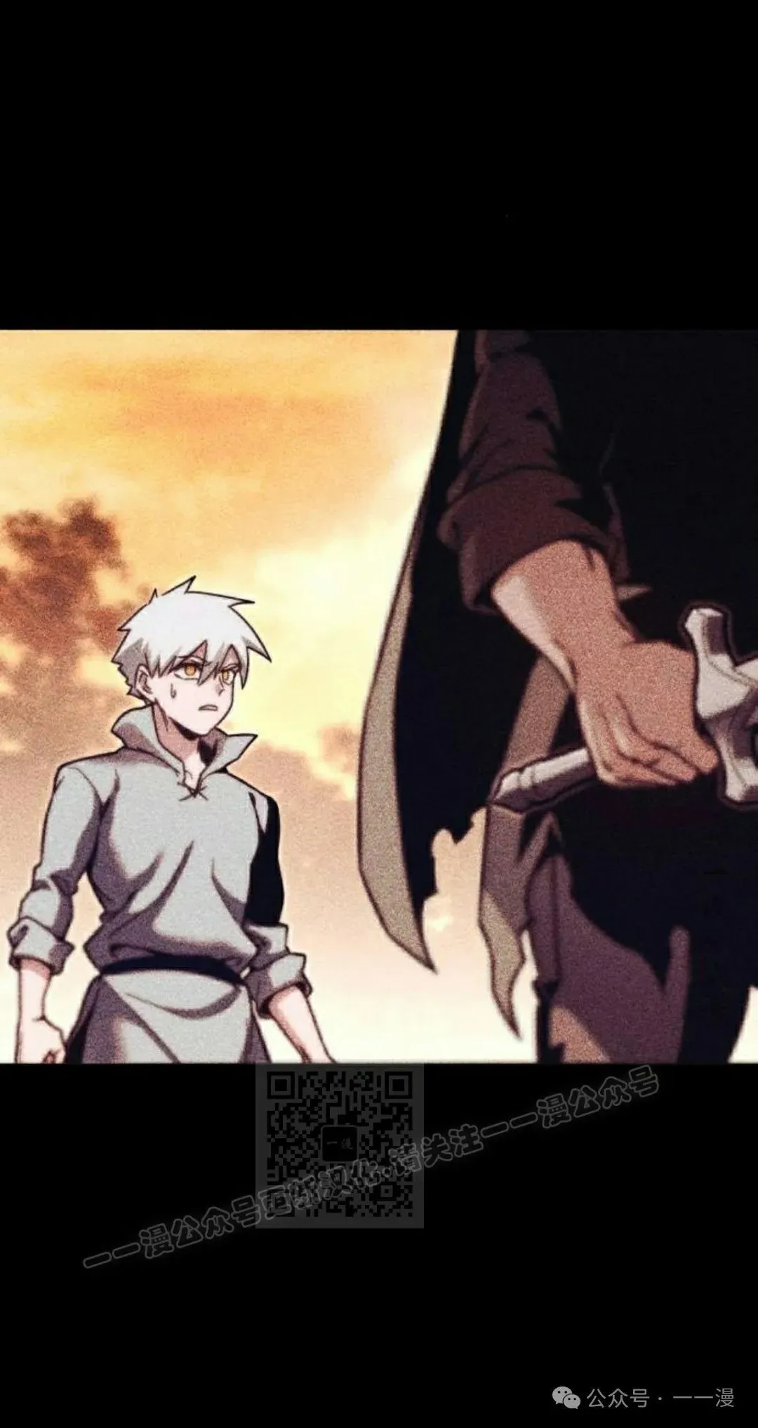 24 第43页